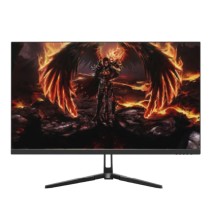 Écran Gaming AERO QG25DFA |...